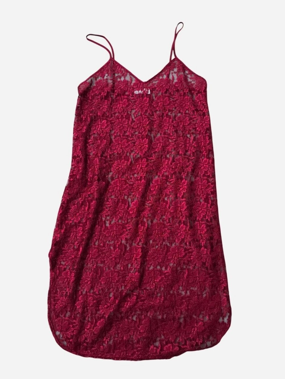 Alexandra Nicole Sheer Floral Lace Slip Dress